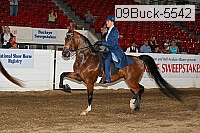 09buck-5542 proof