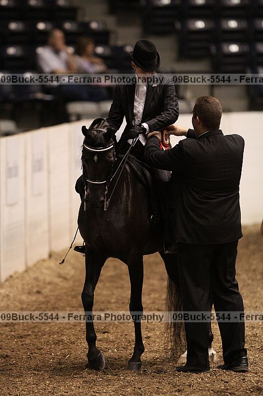 Proof 09buck-5544