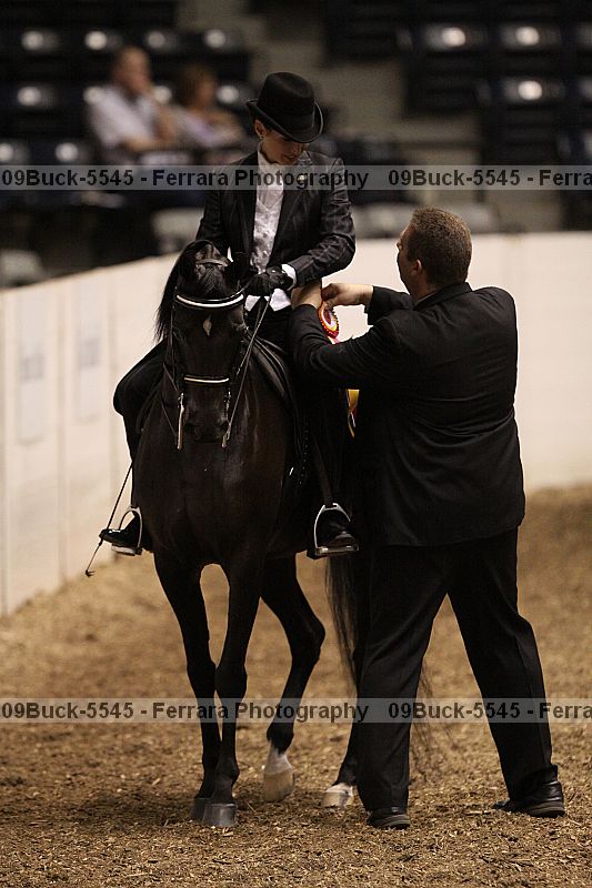 Proof 09buck-5545