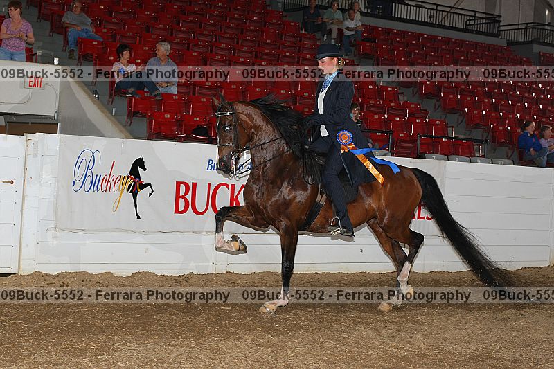 Proof 09buck-5552