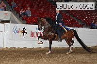 09buck-5552 proof
