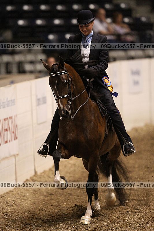 Proof 09buck-5557
