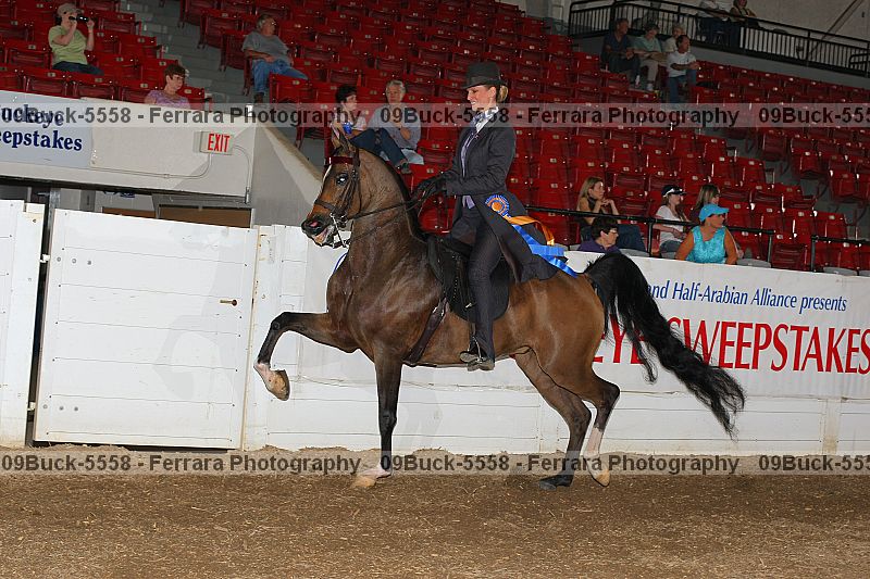 Proof 09buck-5558