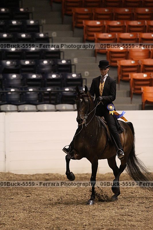 Proof 09buck-5559