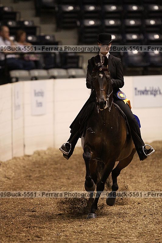 Proof 09buck-5561