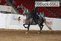09buck-5562 proof