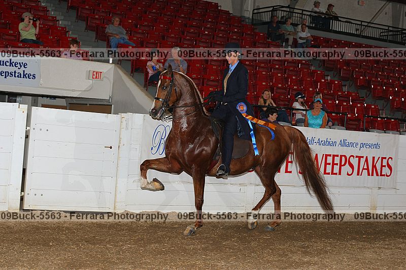 Proof 09buck-5563