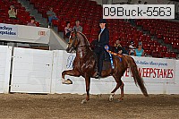 09buck-5563 proof