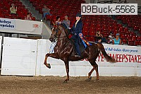 09buck-5566 proof