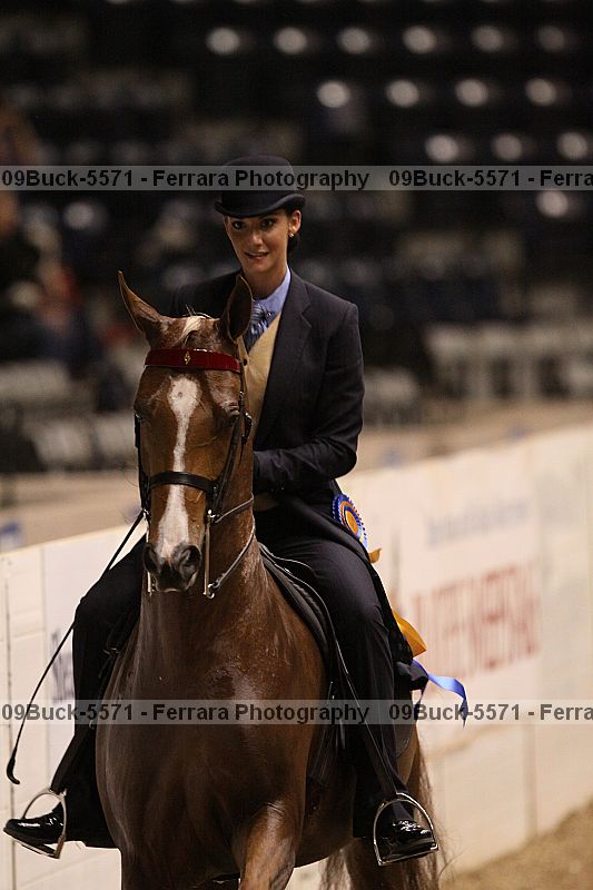 Proof 09buck-5571