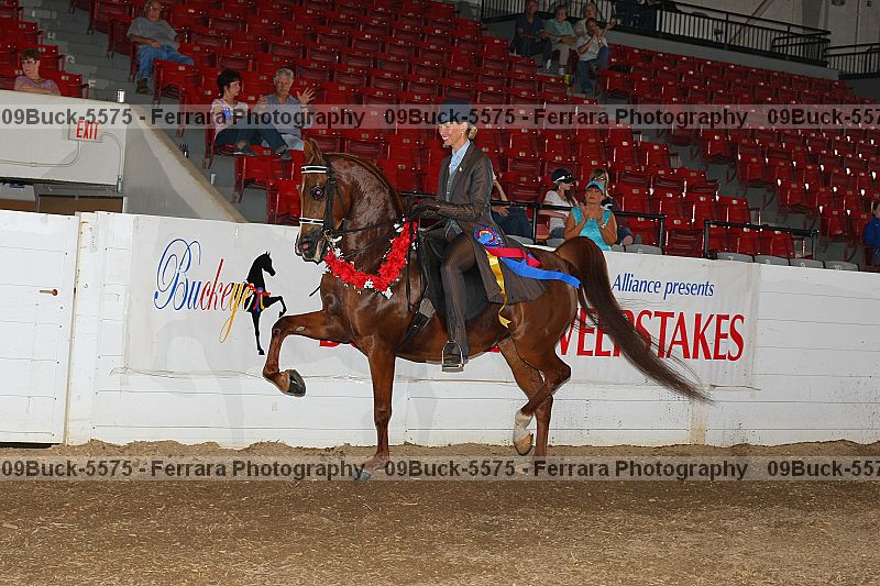 Proof 09buck-5575