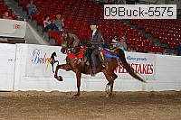 09buck-5575 proof