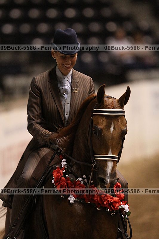 Proof 09buck-5586