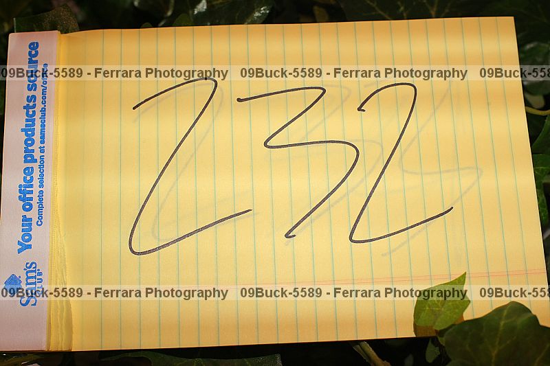 Proof 09buck-5589
