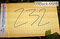 09buck-5589 proof