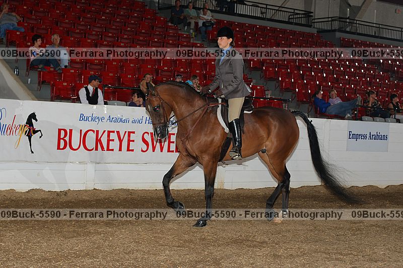 Proof 09buck-5590