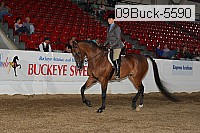 09buck-5590 proof