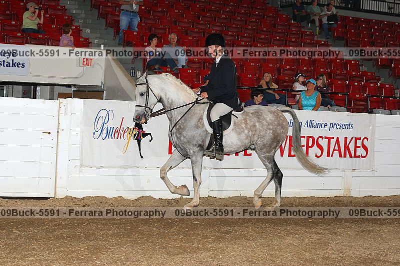 Proof 09buck-5591