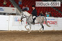 09buck-5591 proof
