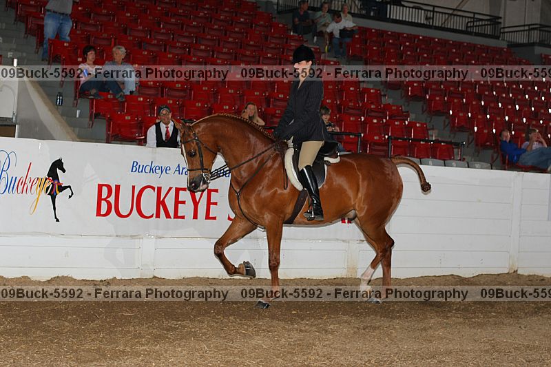 Proof 09buck-5592