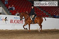 09buck-5592 proof