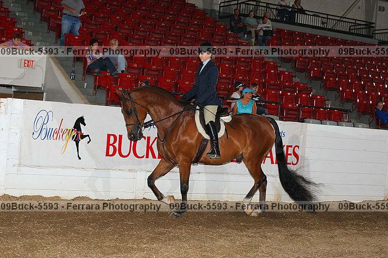 Proof 09buck-5593