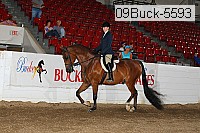 09buck-5593 proof