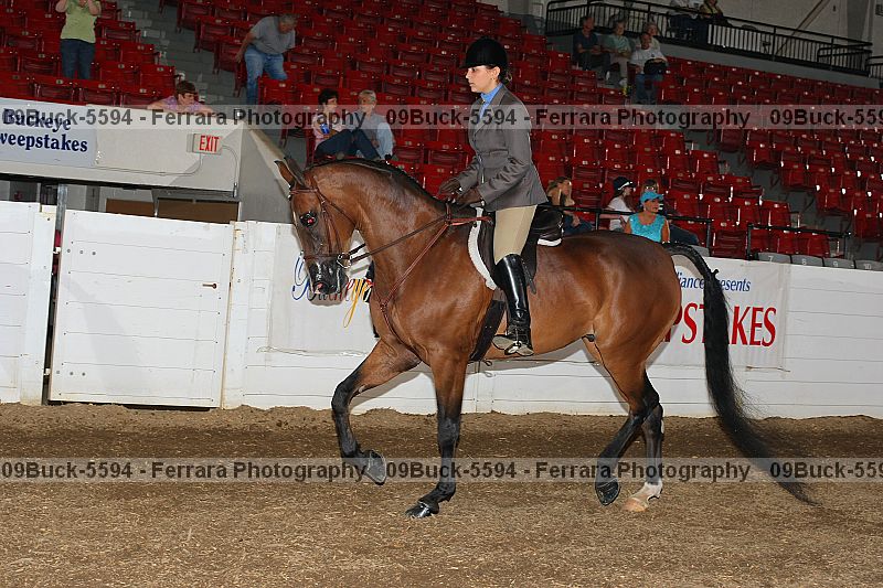 Proof 09buck-5594
