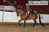 09buck-5594 proof