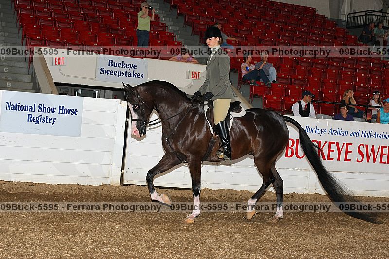 Proof 09buck-5595