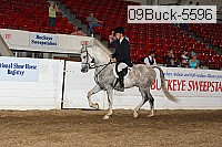 09buck-5596 proof