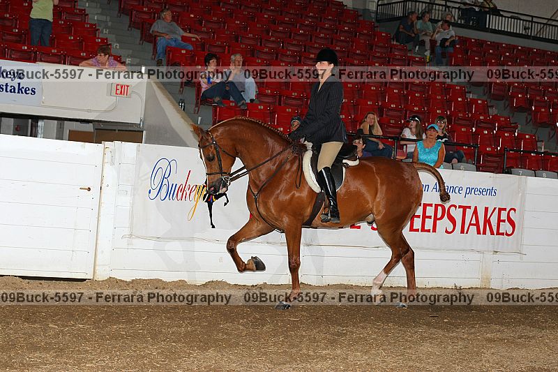 Proof 09buck-5597