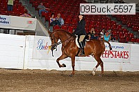 09buck-5597 proof