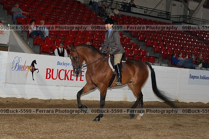 Proof 09buck-5599