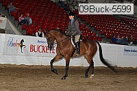 09buck-5599 proof