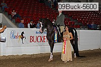 09buck-5600 proof