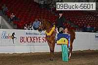 09buck-5601 proof