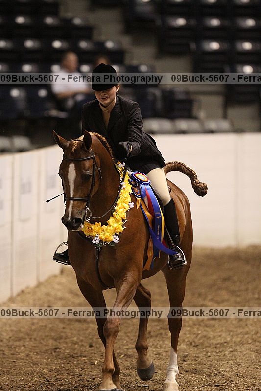 Proof 09buck-5607
