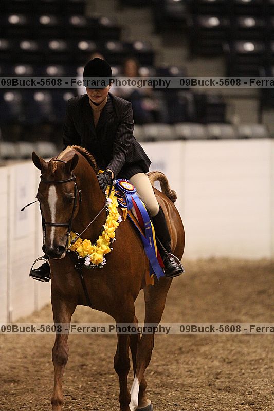 Proof 09buck-5608