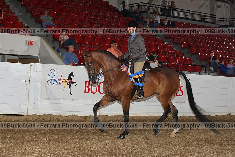 Proof 09buck-5609