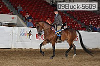 09buck-5609 proof