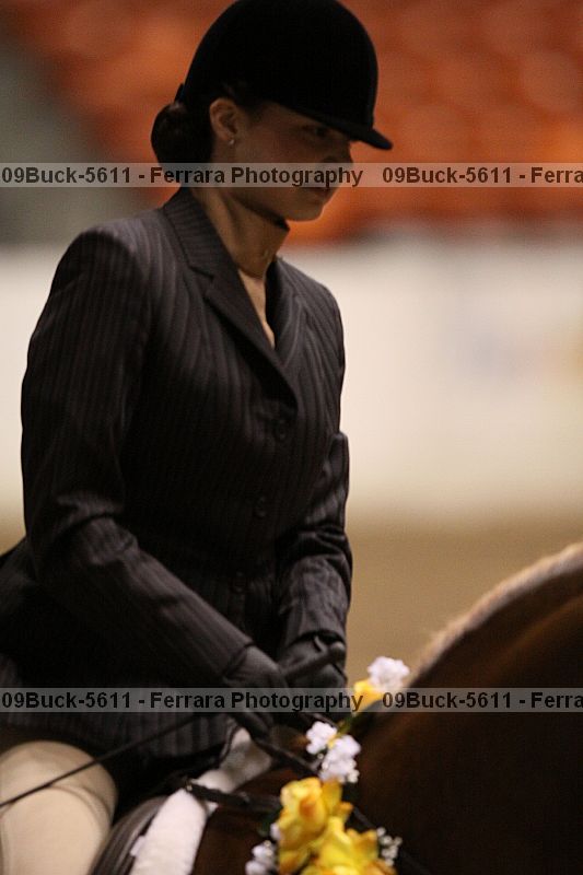 Proof 09buck-5611