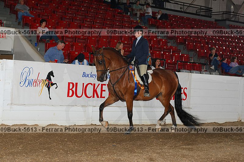 Proof 09buck-5613