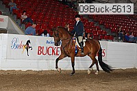 09buck-5613 proof