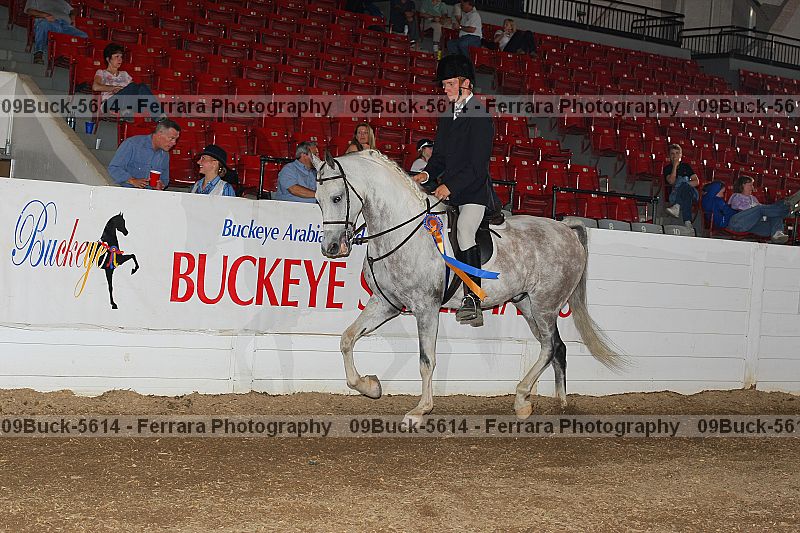 Proof 09buck-5614