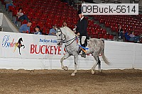 09buck-5614 proof