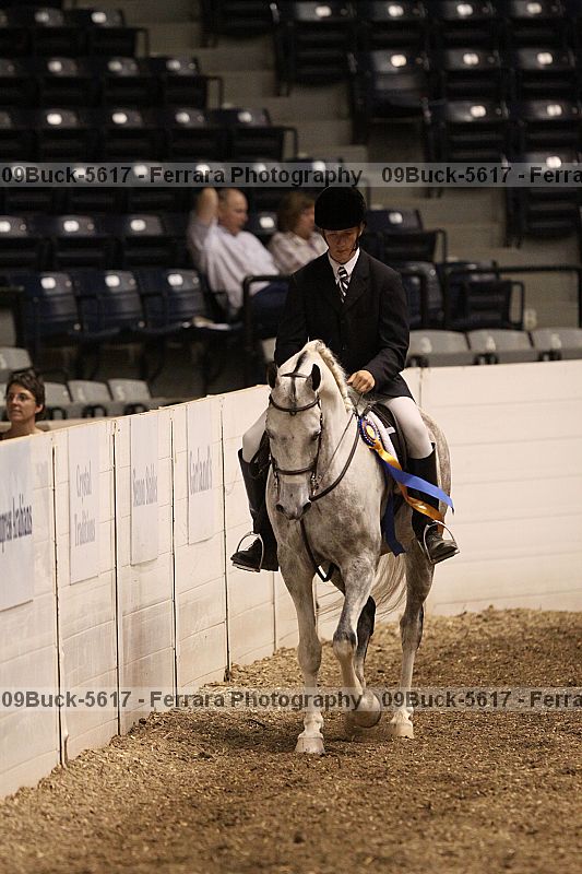 Proof 09buck-5617
