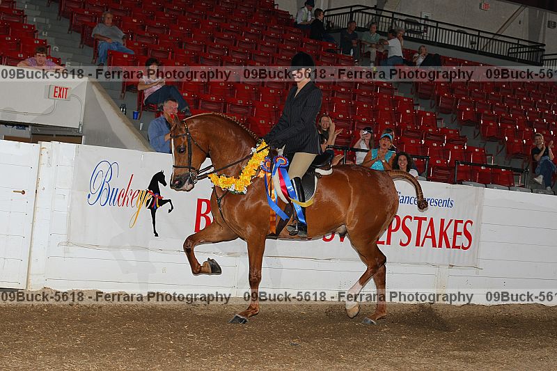 Proof 09buck-5618