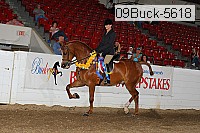 09buck-5618 proof