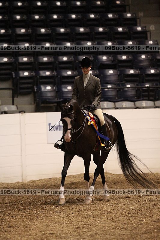 Proof 09buck-5619